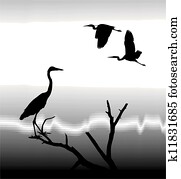 Herons Herons