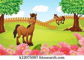 Horses on a field Horses on a field