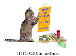 How to catch a mouse How to catch a mouse