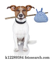 hund, mit, a, stock, und, a, blau, tasche hund, mit, a, stock, und, a, blau, tasche