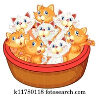 kittens kittens