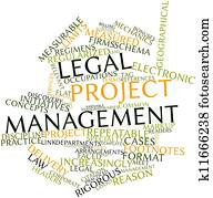Legal project management Legal project management