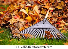 licenças baixa, com, ancinho