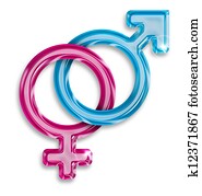 male and female gender symbols on white background