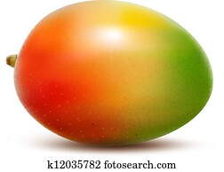 Mango isolated on white. Vector illustration Mango isolated on white. Vector illustration