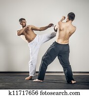 martial arts master martial arts master