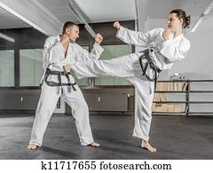 martial arts master martial arts master