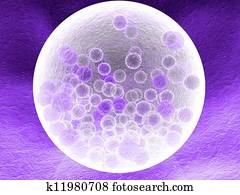 mauve cells under microscope