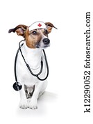 medical doctor dog