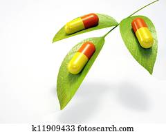 medical herbal pills medical herbal pills
