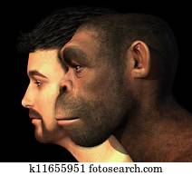 Modern Human and Homo Erectus Man Compared Modern Human and Homo Erectus Man Compared