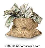 Money in the bag