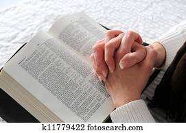 mujer, manos, y, el, biblia