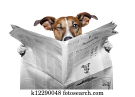 news dog news dog