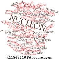 Nucleon