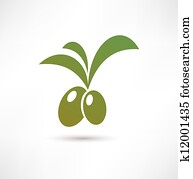 Olive icon Olive icon