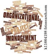 Organizational project management Organizational project management