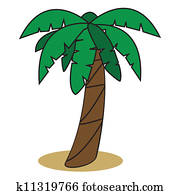 Palm tree Palm tree