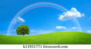 panorama of green field with a big tree and rainbow in blue sky