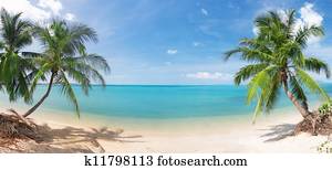 panoramic tropical beach with coconut palm