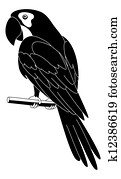 Parrot, black silhouette Parrot, black silhouette