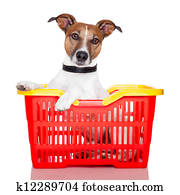 perro, en, un, rojo y amarillo, canasta de compras