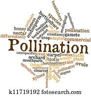 pollinering