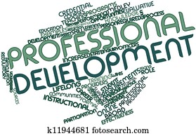 Professional development Professional development