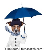 rain umbrella dog rain umbrella dog