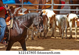 rodeo competition is about to begin rodeo competition is about to begin