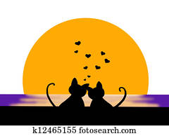 romantic sunset romantic sunset