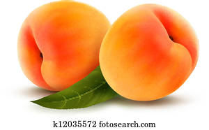 Rpe peach isolated on white. Vector illustration Rpe peach isolated on white. Vector illustration