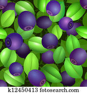seamless blueberries pattern