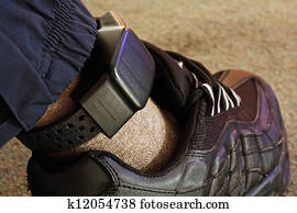 segurança, eletrônico, etiquetando