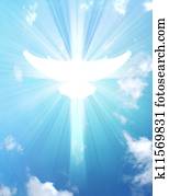 shining dove shining dove