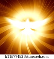 shining dove with rays on a dark shining dove with rays on a dark