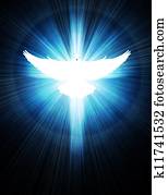 shining dove with rays on a dark shining dove with rays on a dark