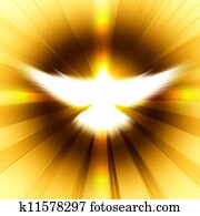 shining dove with rays on a dark shining dove with rays on a dark