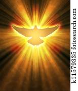 shining dove with rays on a dark shining dove with rays on a dark