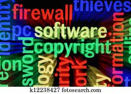 Software copyright Software copyright