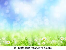 Spring meadow Spring meadow