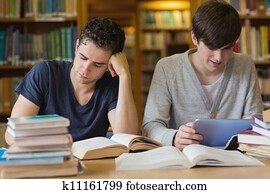 Students studying in the library