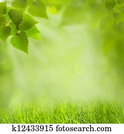 Summer natural backgrounds for your design