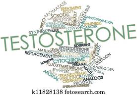 Testosterone