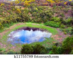 Tower Hill State Game Reserve