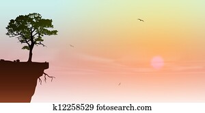 Tree on a Cliff Tree on a Cliff