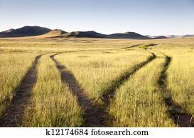 Two roads meet and separate in the Gobi Desert. Mongolia