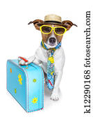 urlaub, tourist, hund