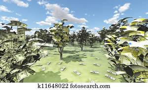 US Currency and Euro Trees