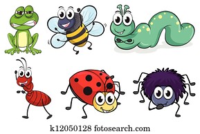 Various insects and animals Various insects and animals